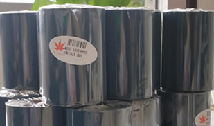 ̼����ӡ���⴦��������̼��&nbsp;�������Red&nbsp;Maple̼��